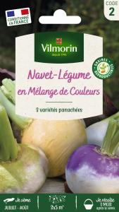 Navet - Mélange de Couleurs